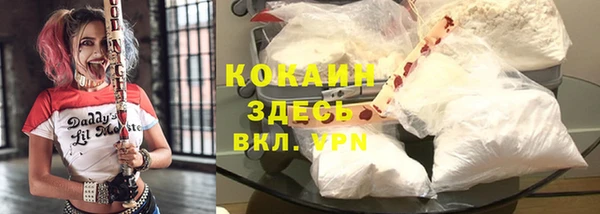 сатива Балабаново