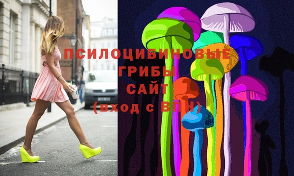гашик Балахна