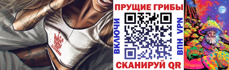 Псилоцибиновые грибы мицелий  что такое   Тосно 